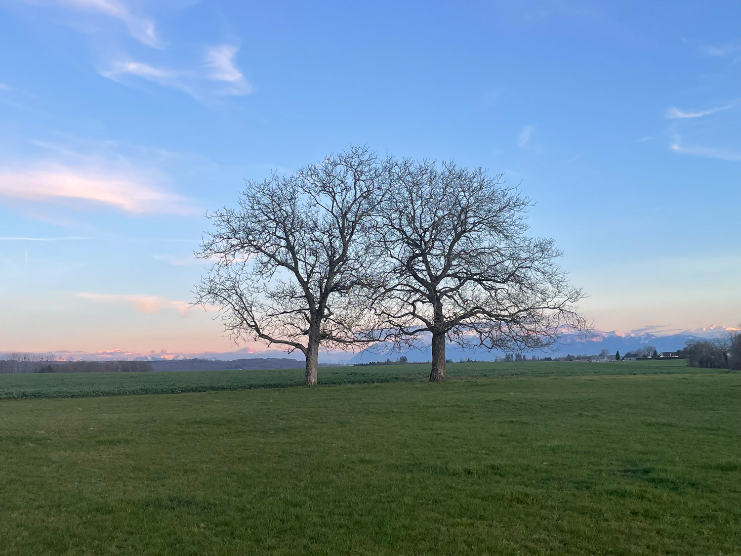Abt Jardins et Paysages services entretien 2