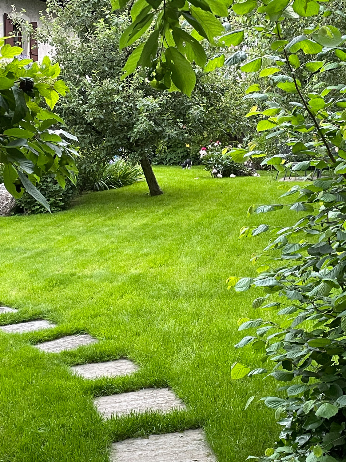 Abt Jardins et Paysages services entretien 6